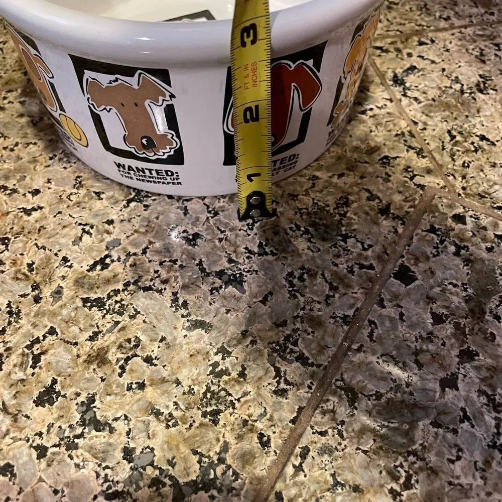 Mug Shots Signature Stoneware Dog Bowl 6 inch